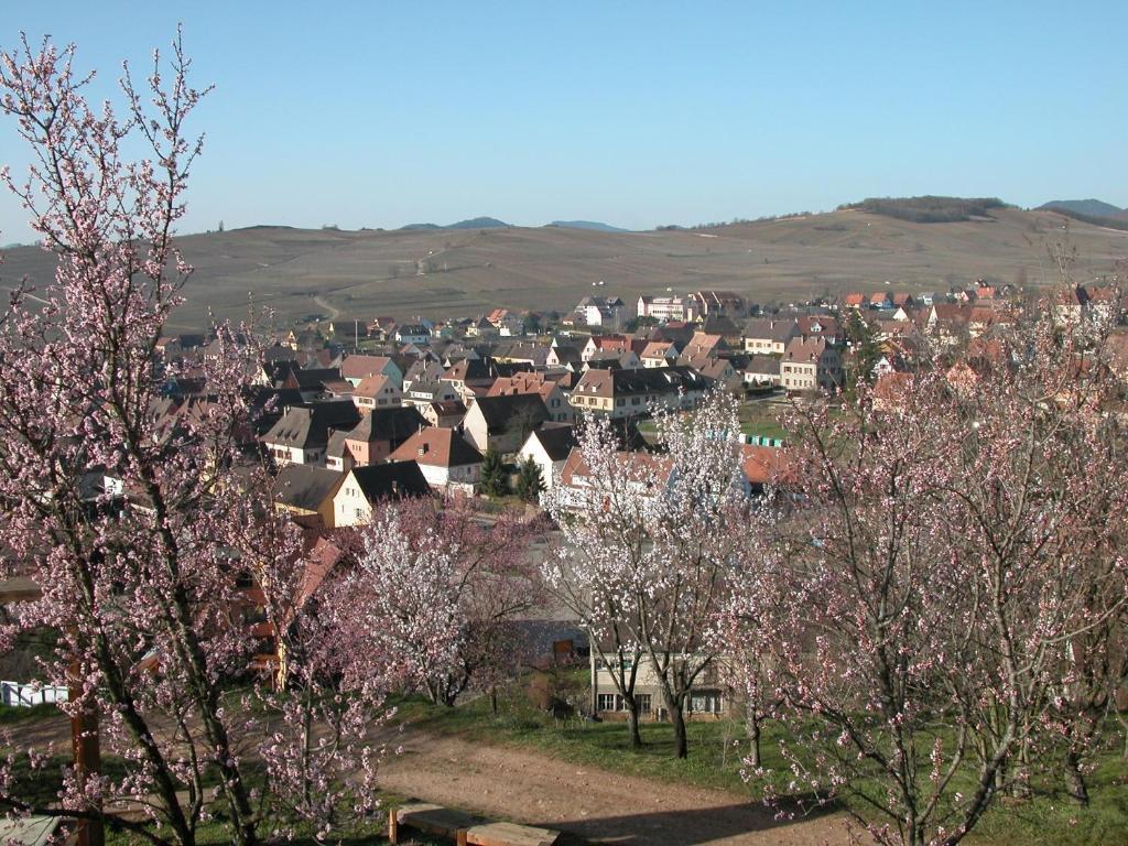 Gite Des Merles Mittelwihr Exteriér fotografie